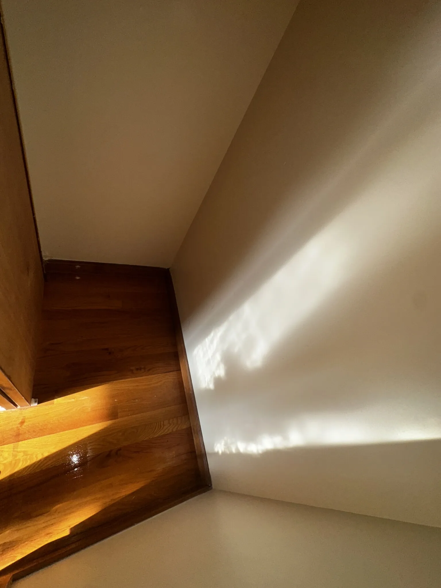 1110 Commonwealth Ave, Brighton