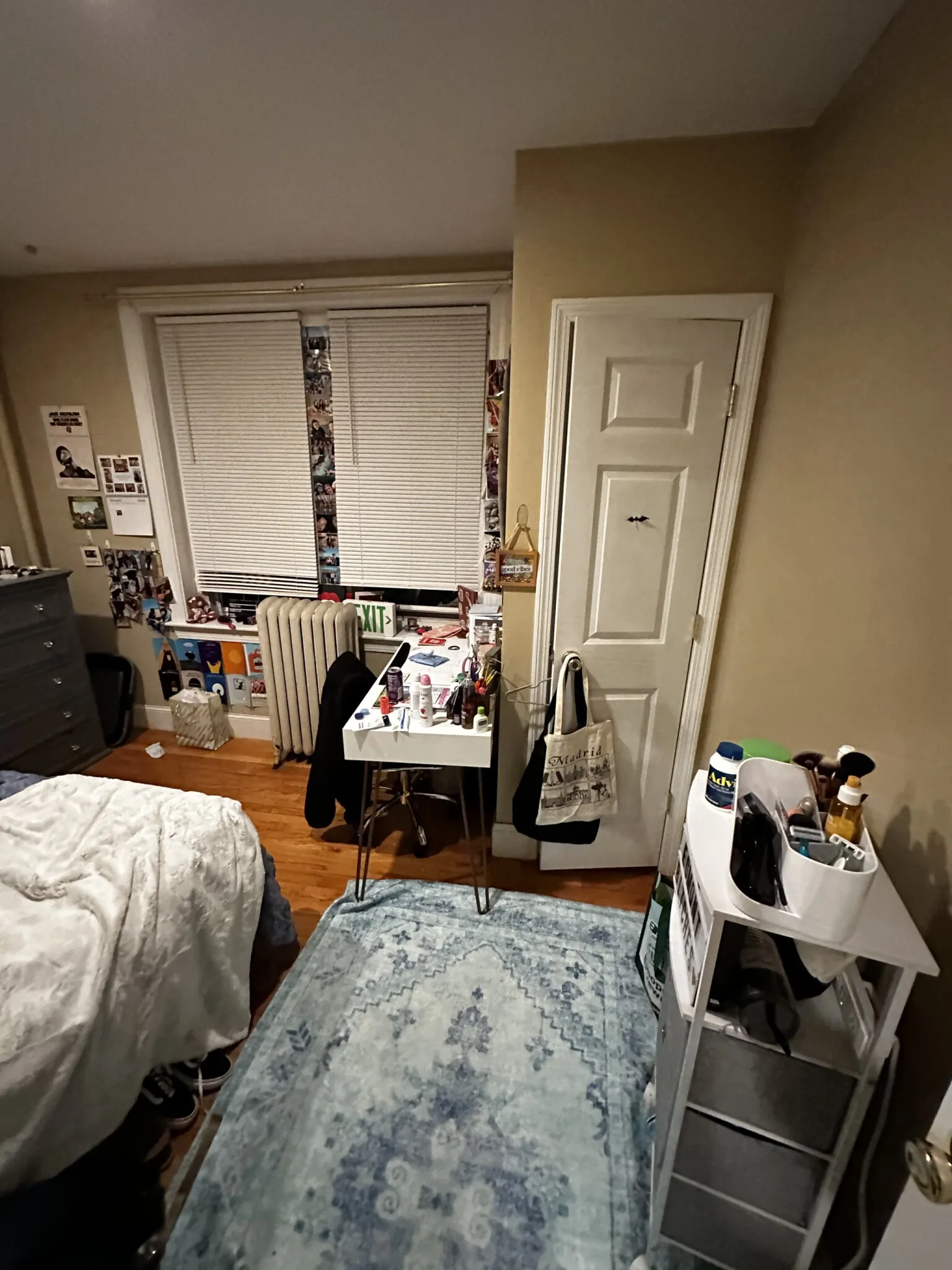 72 Egmont St, North Brookline