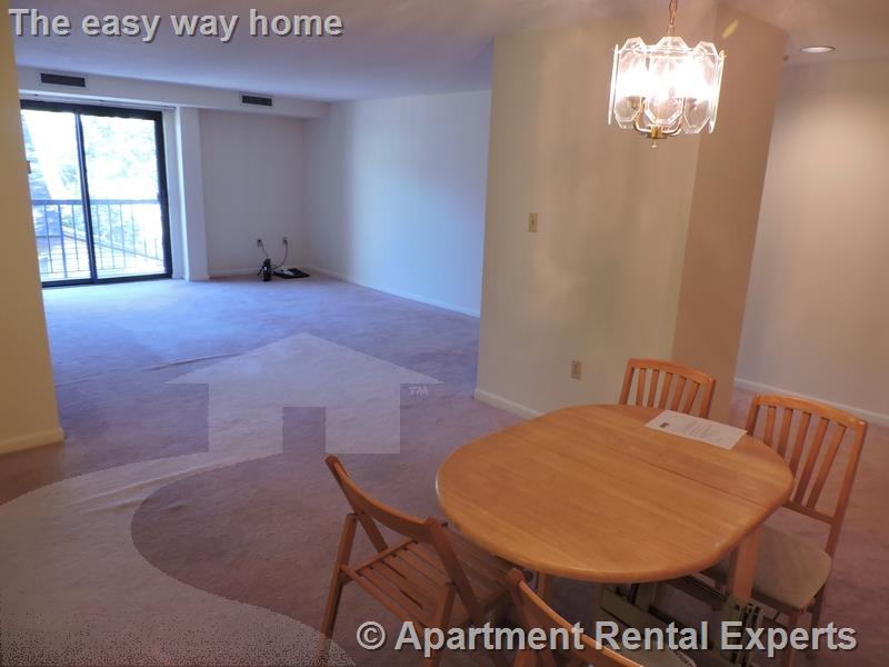 23 Elm St, Porter Square