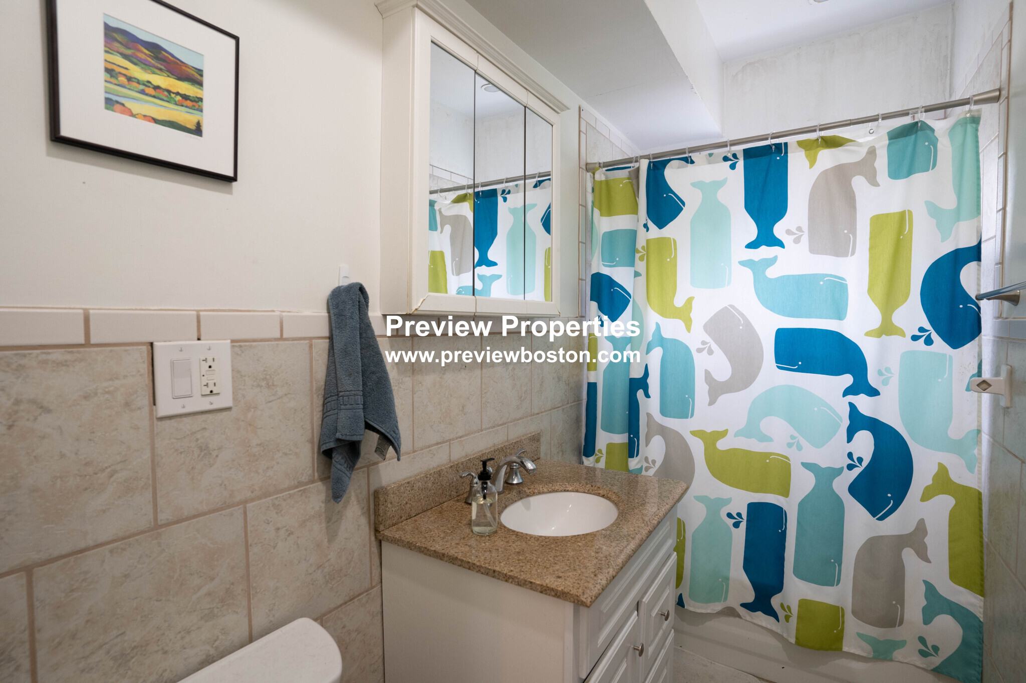 66 Mozart St, Jamaica Plain