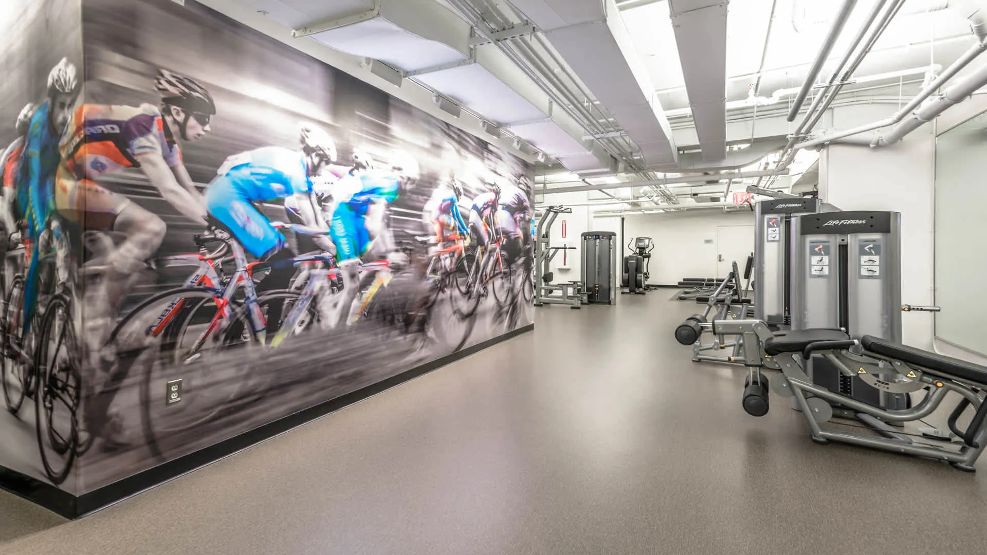 72 Staniford St, West End