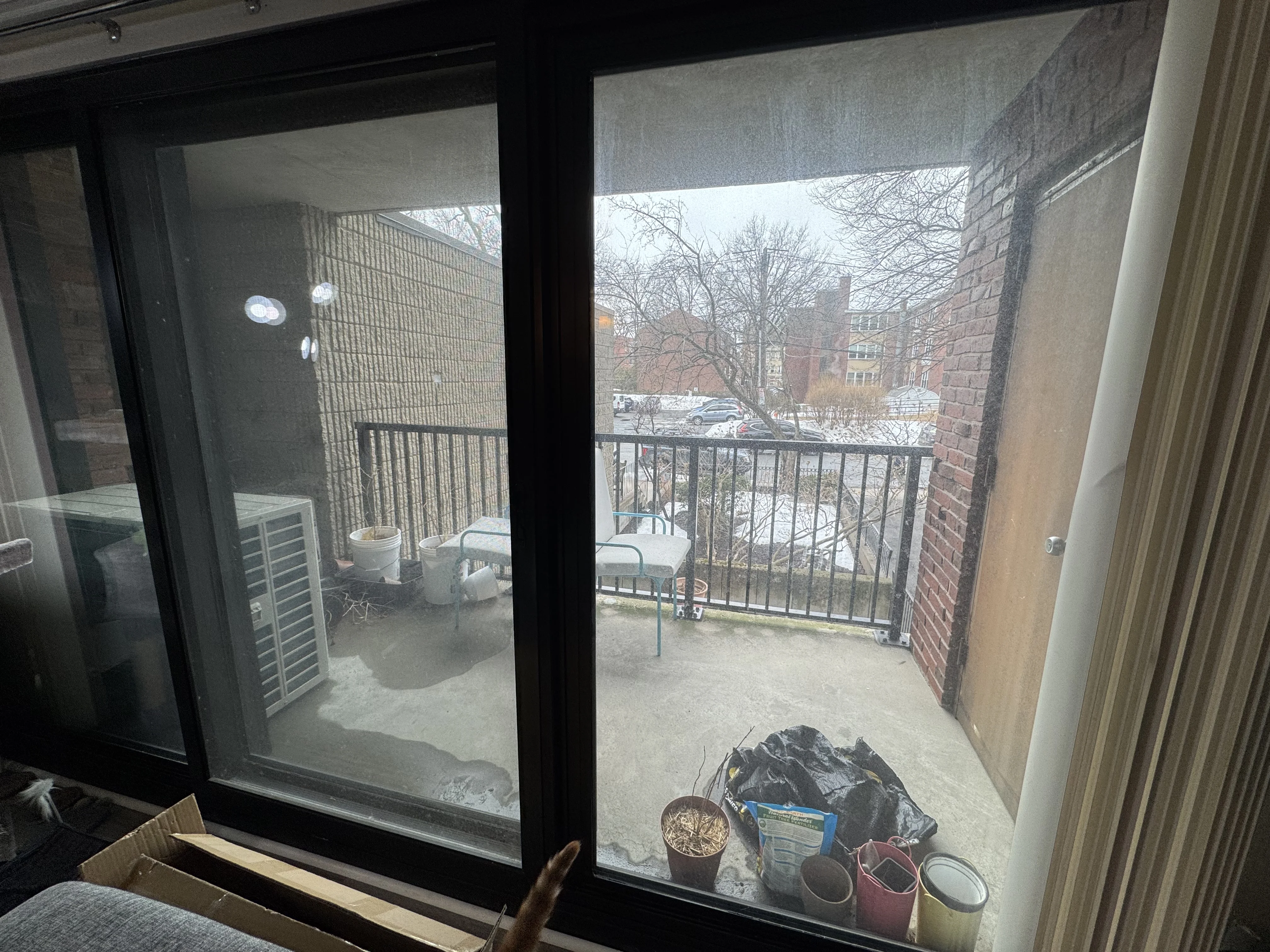 49 Marion St, Coolidge Corner