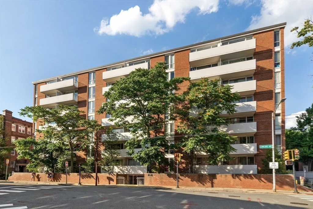 29 Concord Ave, Neighborhood Nine