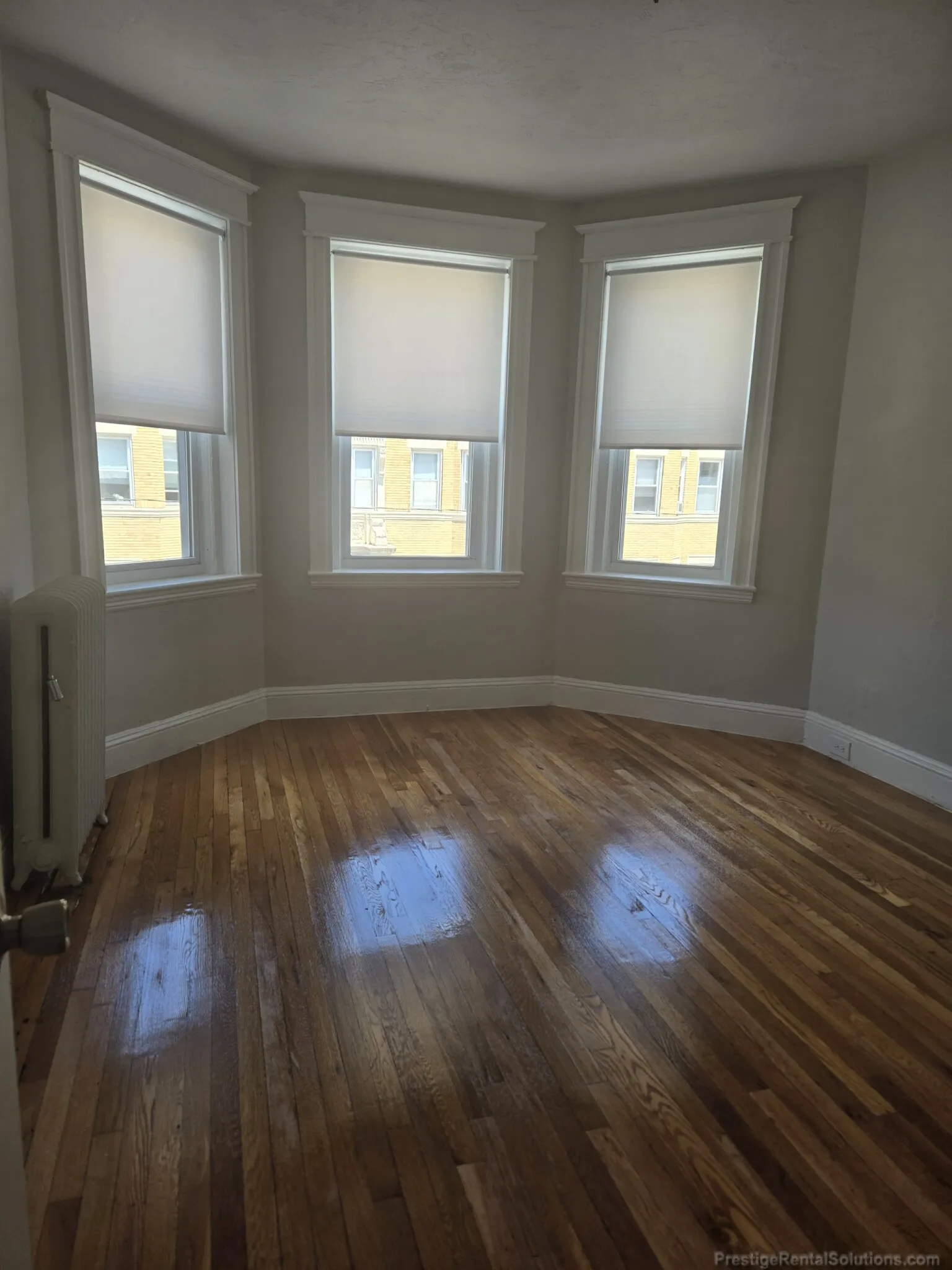 217 Kelton St, Brighton