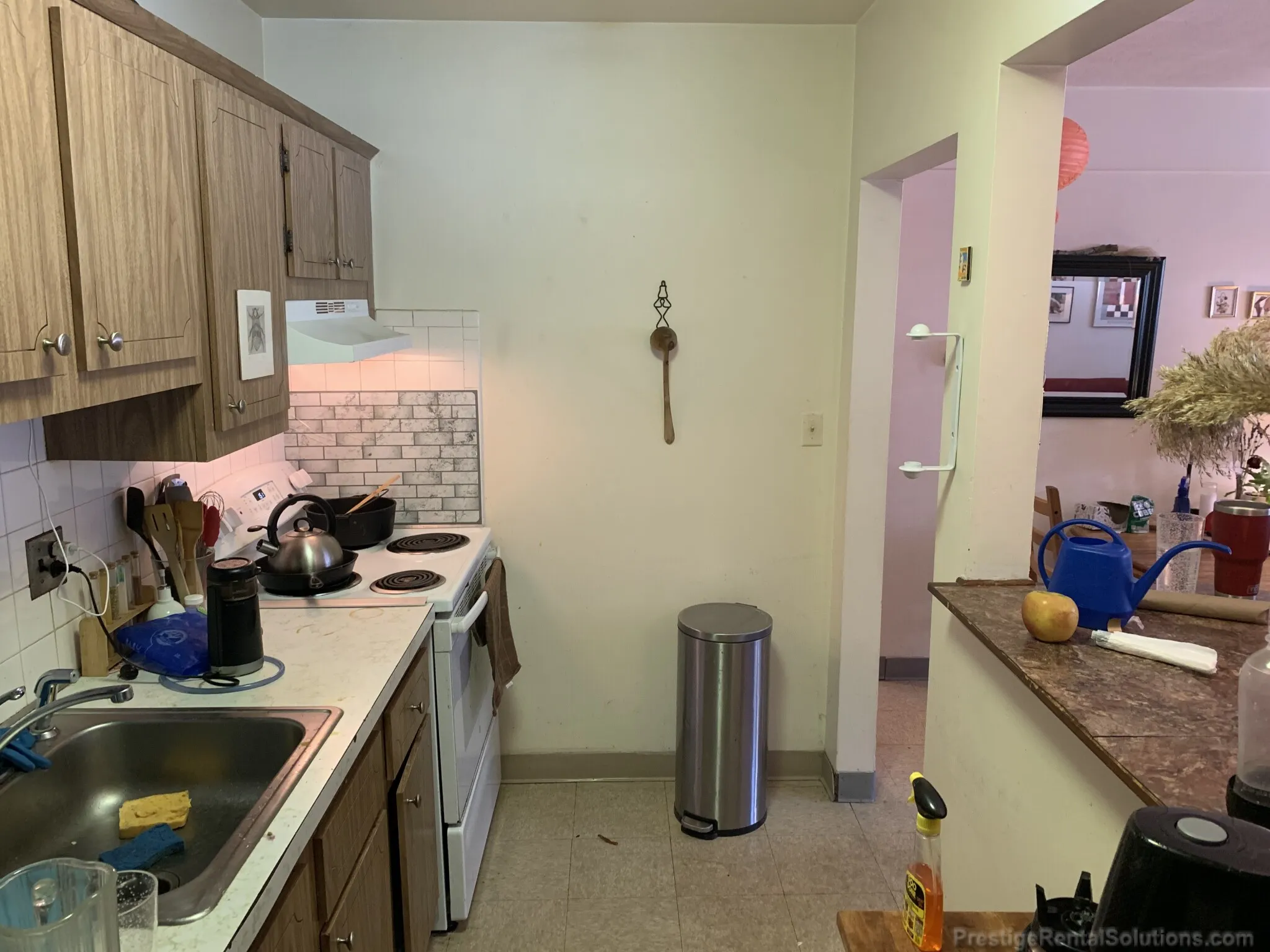 30 Allston St, Brighton