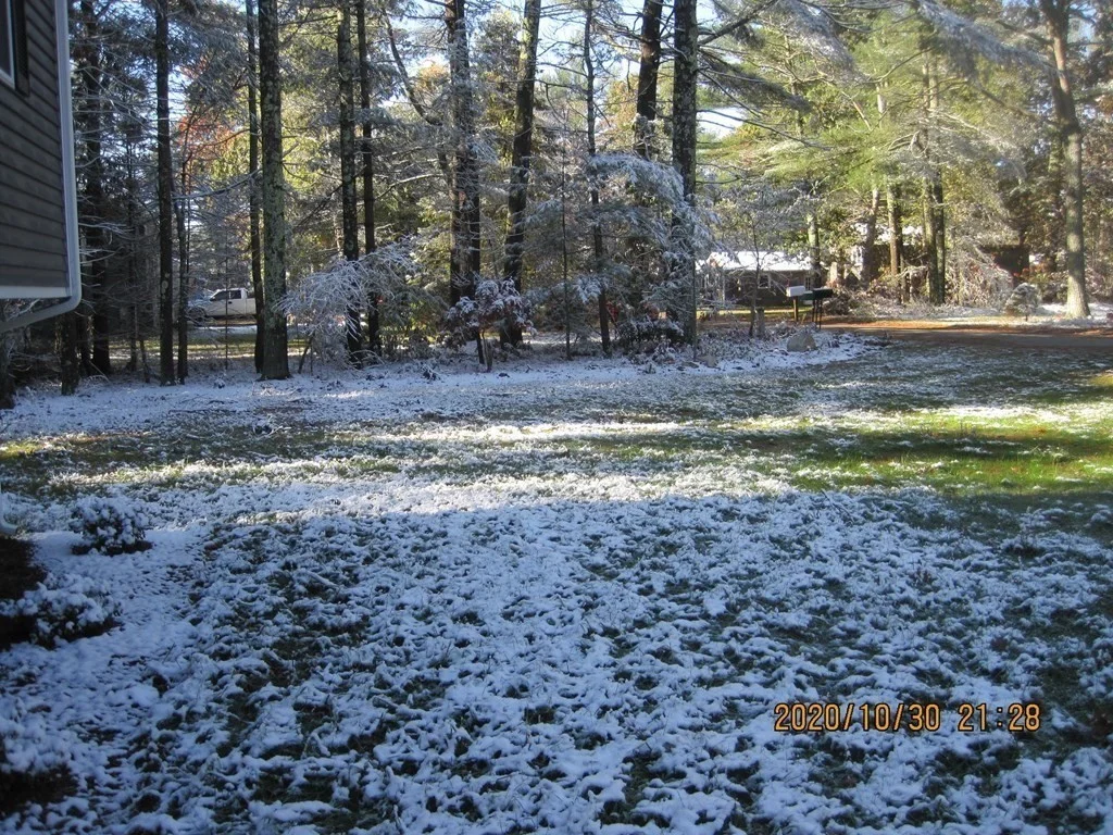 9 Rickard St, Carver