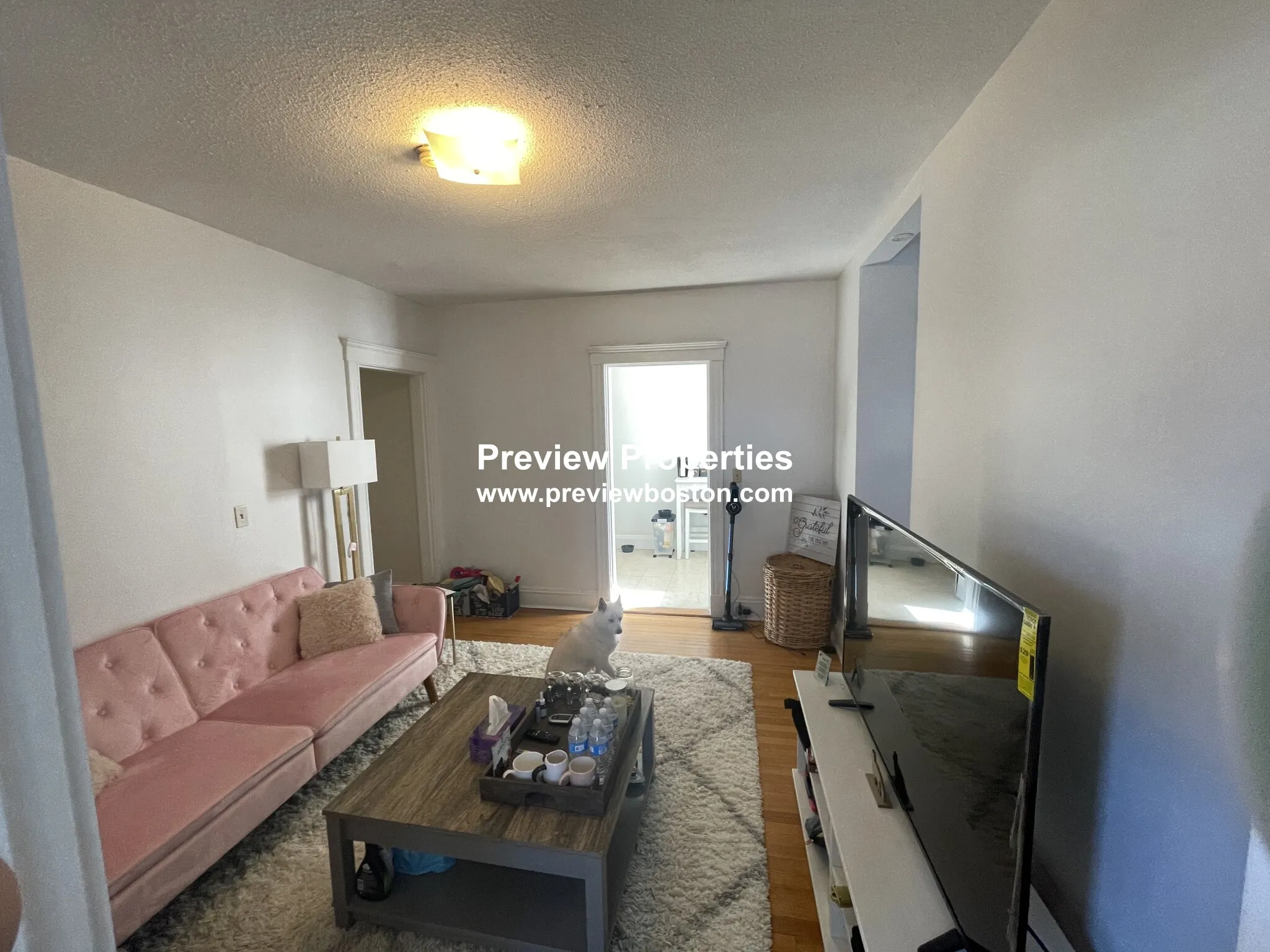 40 Chester St, Allston