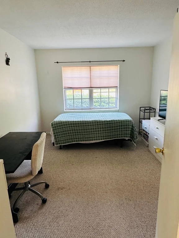 137 Lake Shore Rd, Brighton