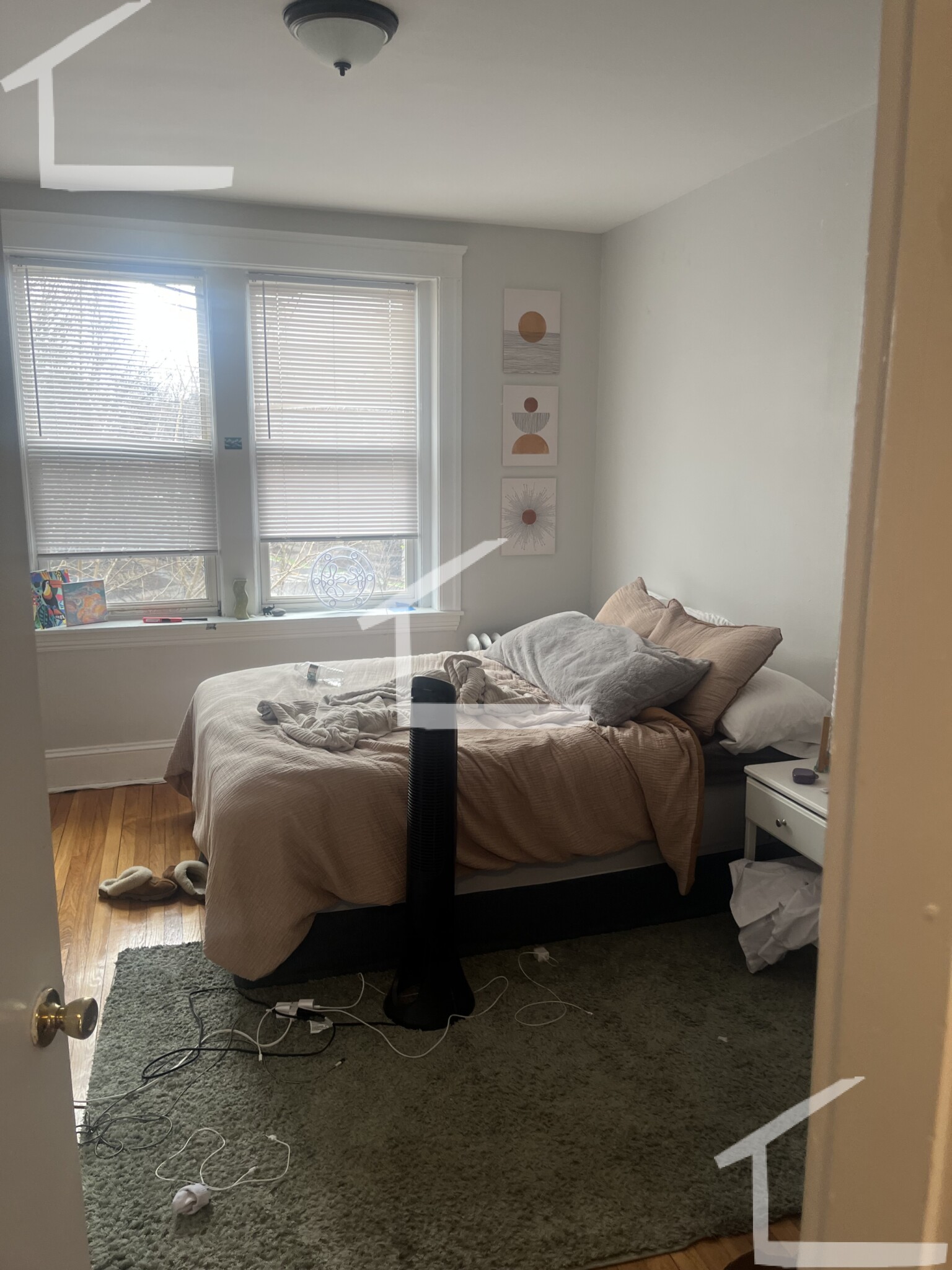 241 Freeman St, North Brookline