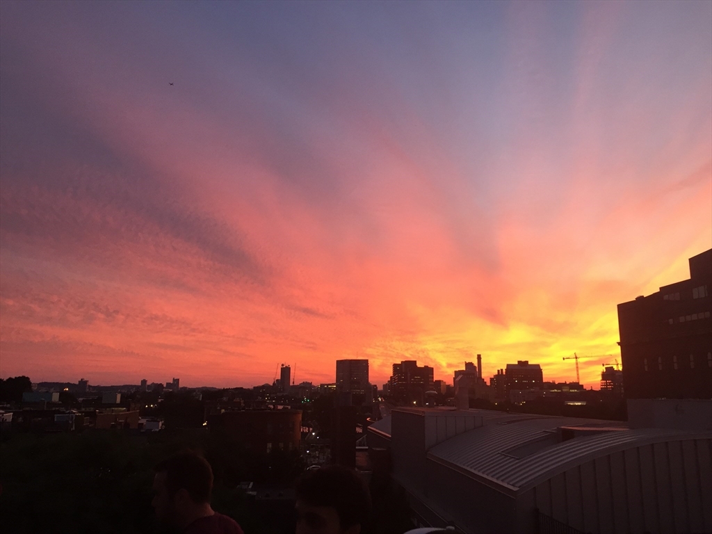 5 Grove St, Beacon Hill