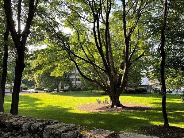 22 Chestnut Pl, Brookline
