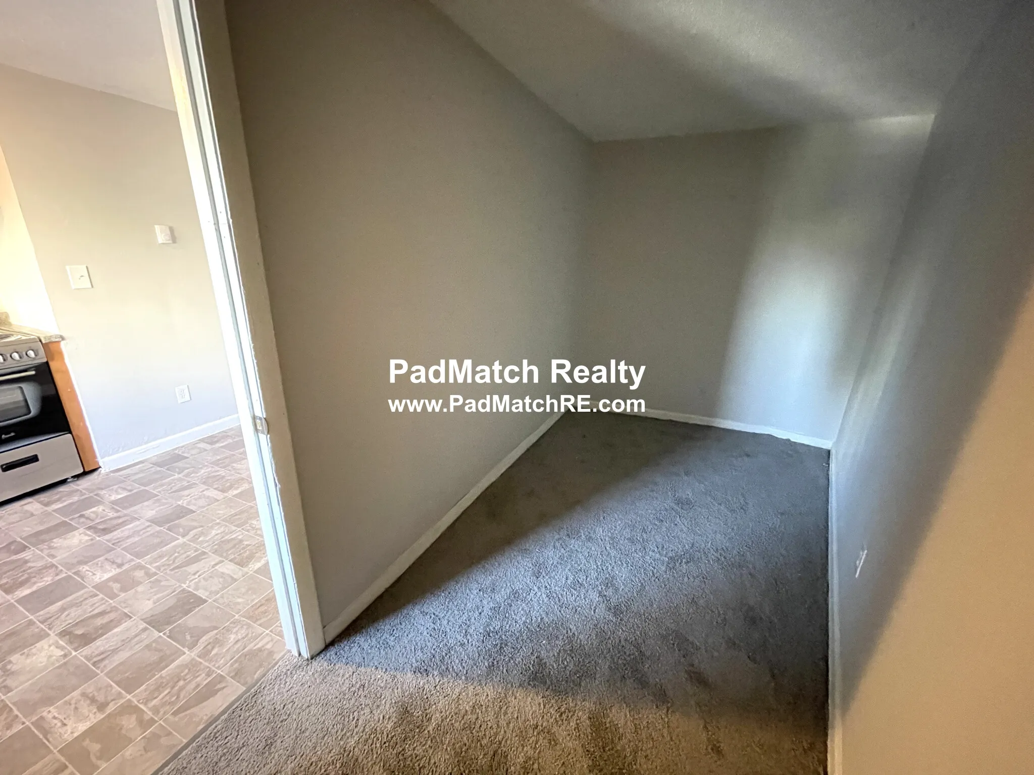 231 Harrison Ave, Chinatown