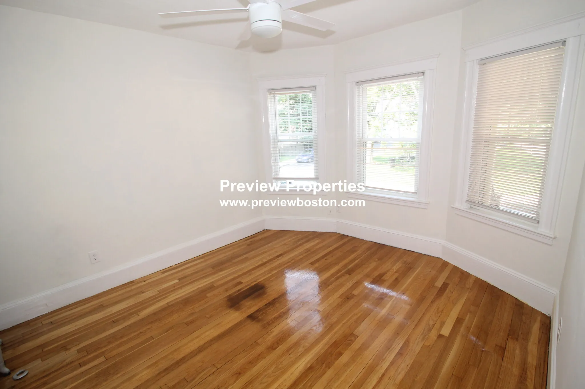 29 Wilson Park, Brighton