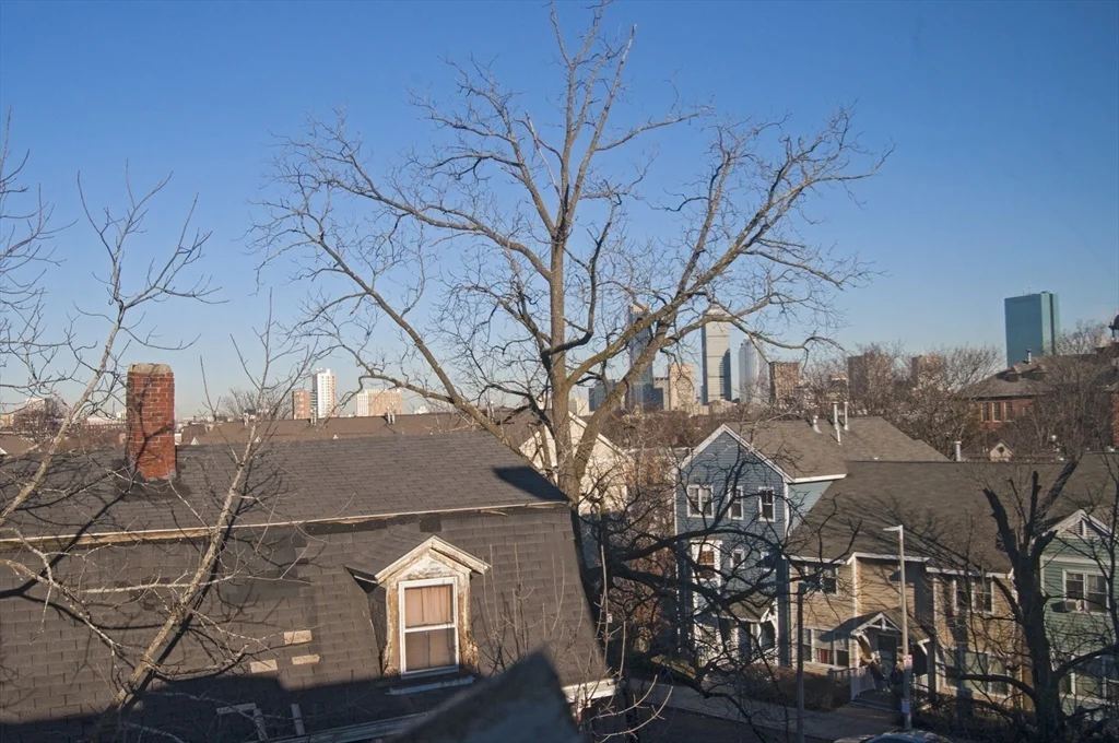 1 Mount Pleasant Pl, Roxbury