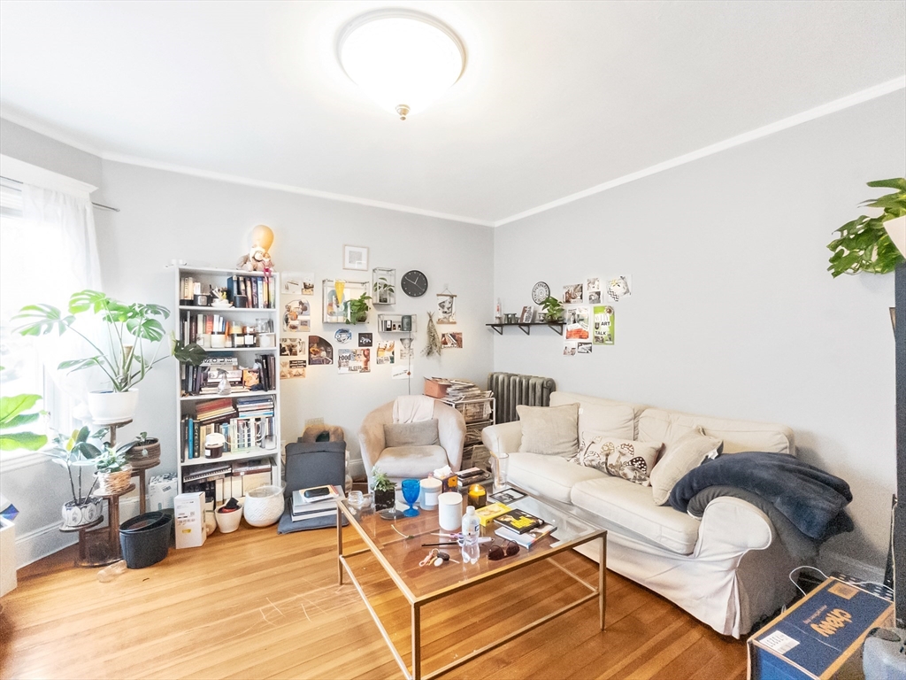 8 Parkton Rd, Jamaica Plain