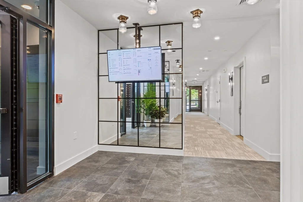 97 Elmwood, North Cambridge