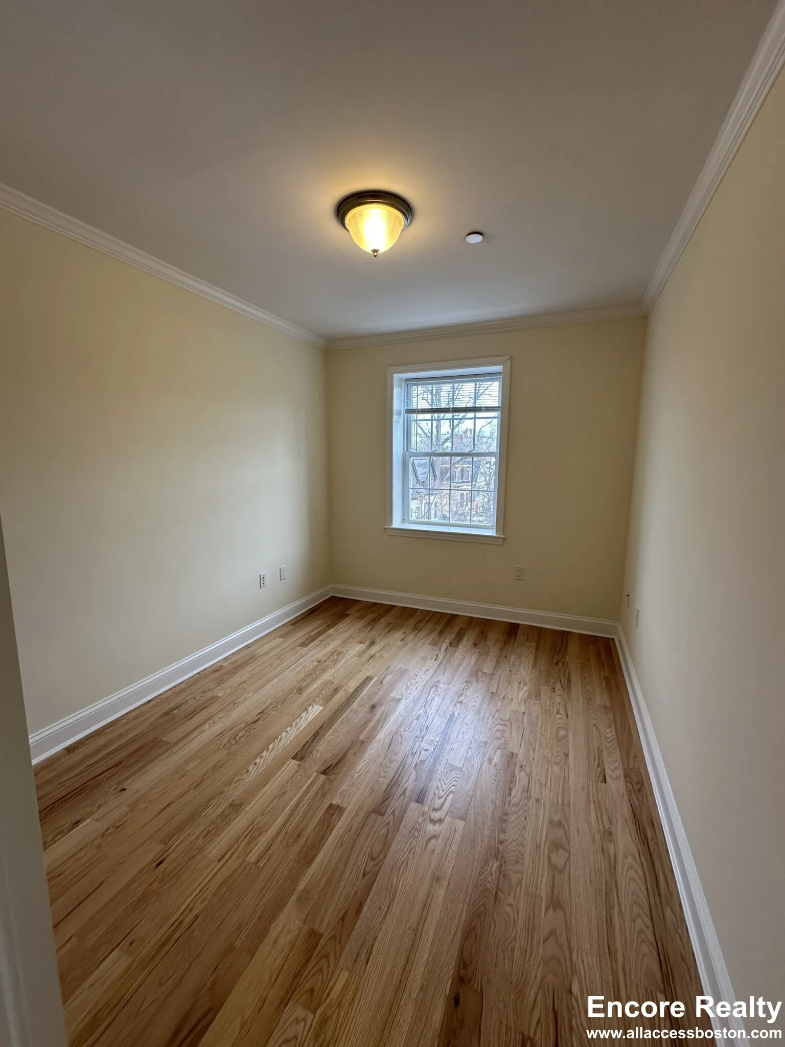 56 Langdon St, Neighborhood Nine