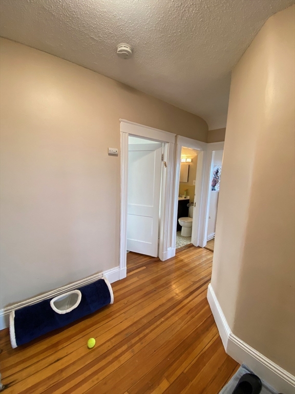 256 Corey Rd, Brighton