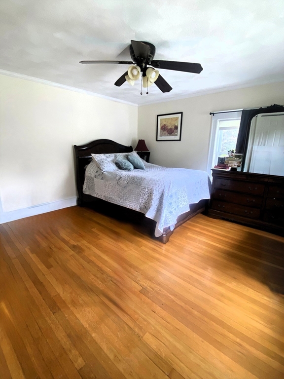 35 Reedsdale Rd, Milton