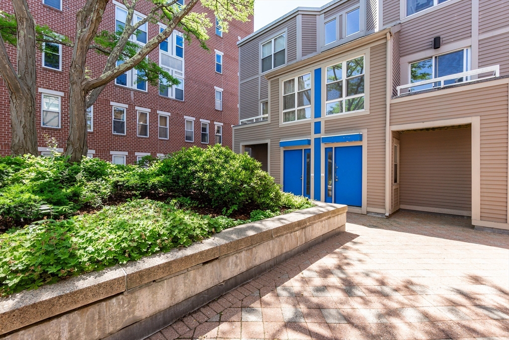 31 Henry St, Cambridgeport