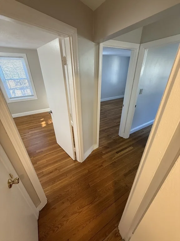 39 Silvia Ct, Hyde Park