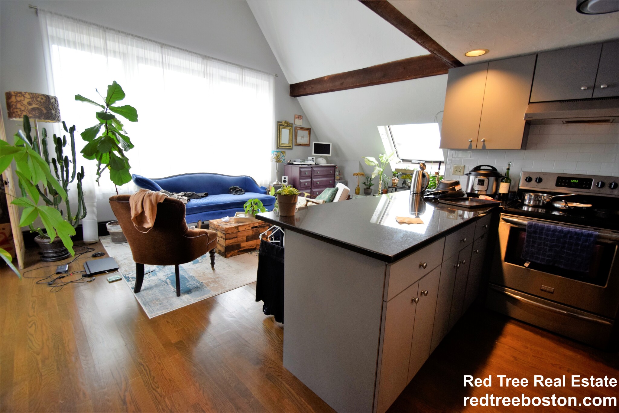 444 Western Ave, Brighton