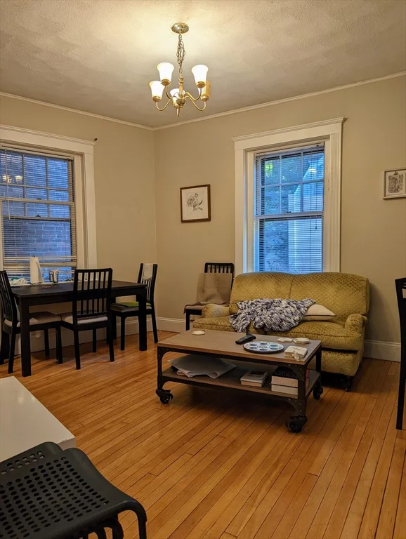 174 Winthrop Rd, Washington Square