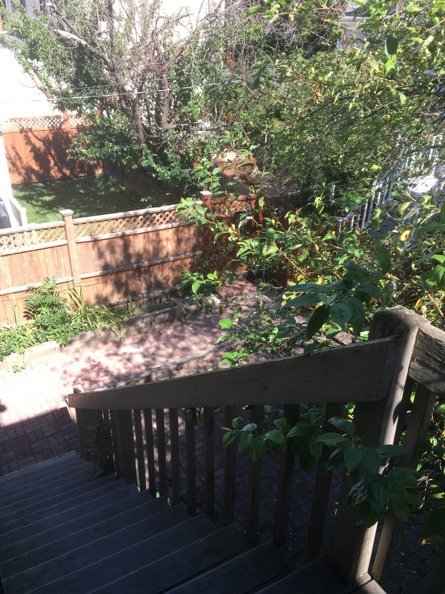 125 Spring St, East Cambridge