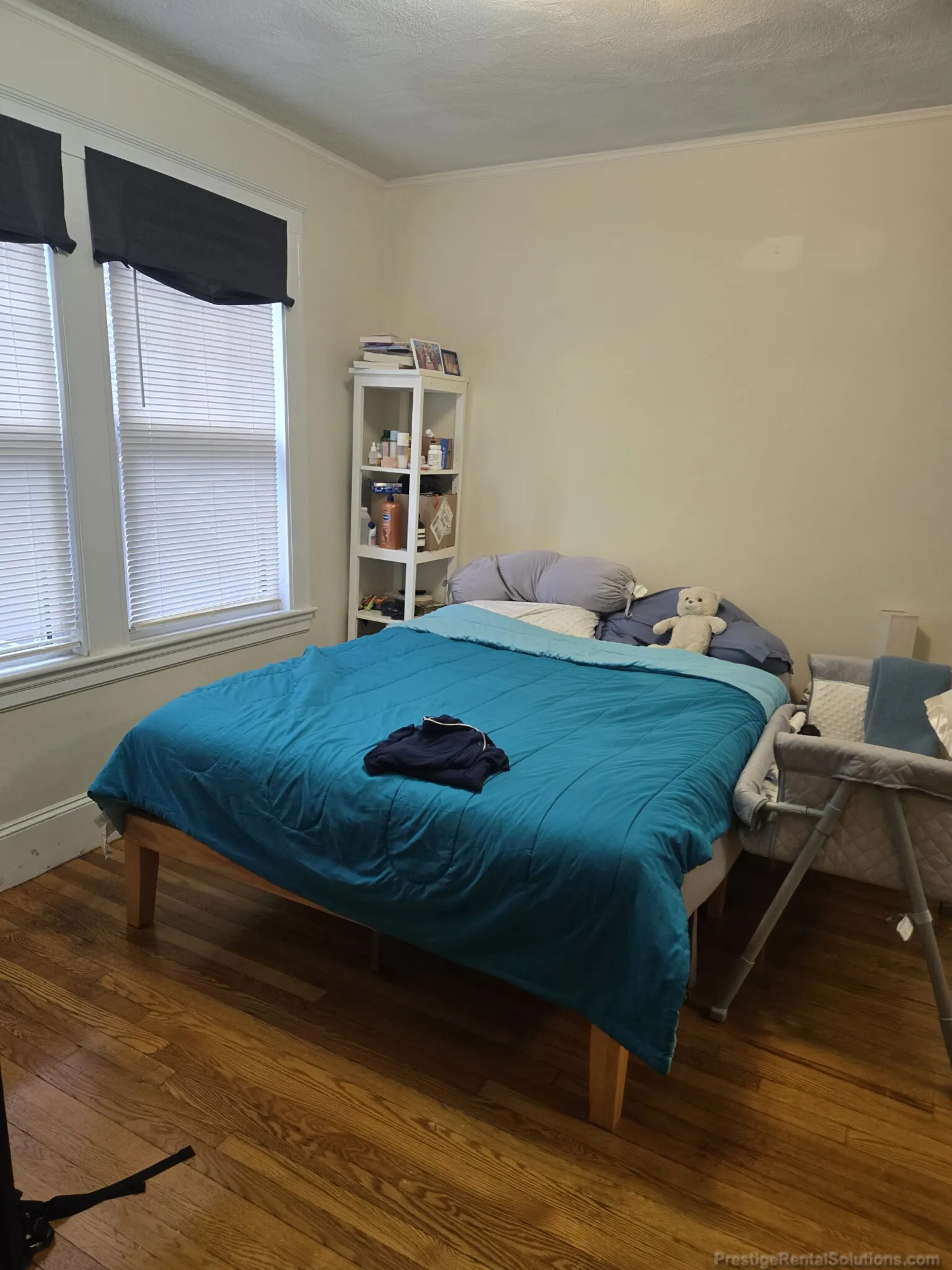 157 Summer St, Spring Hill