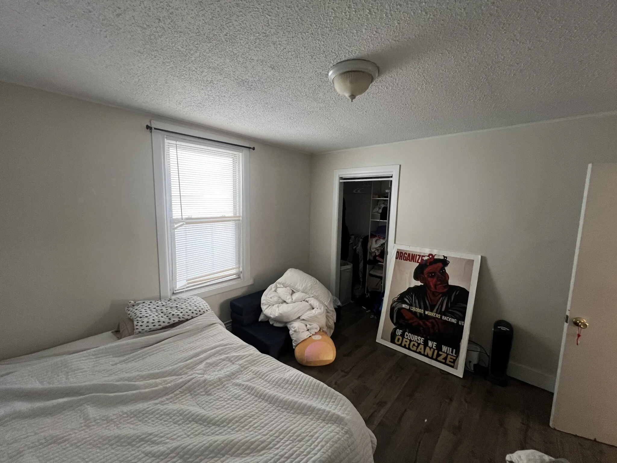 294 Prospect St, Wellington-Harrington