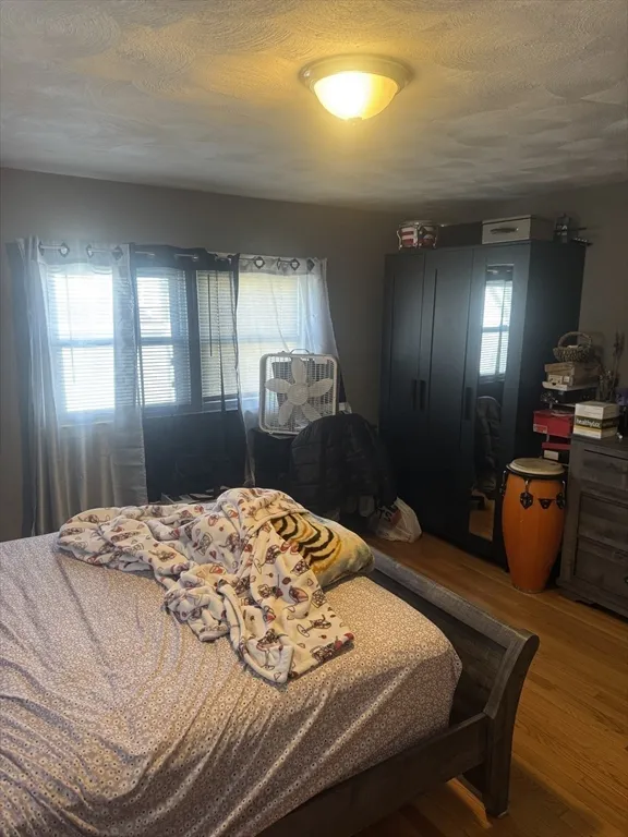 21 Cook, Chelsea