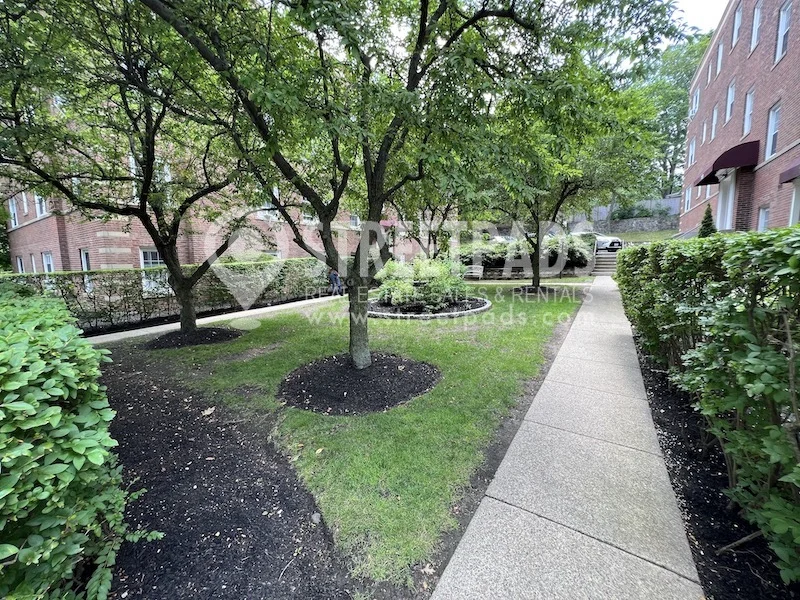 1163 Beacon St, Longwood