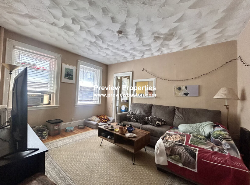 249 Chestnut Hill Ave, Brighton