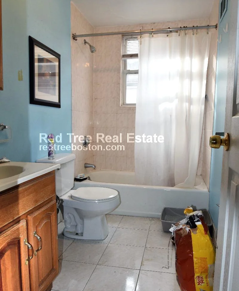 216 Freeman St, North Brookline