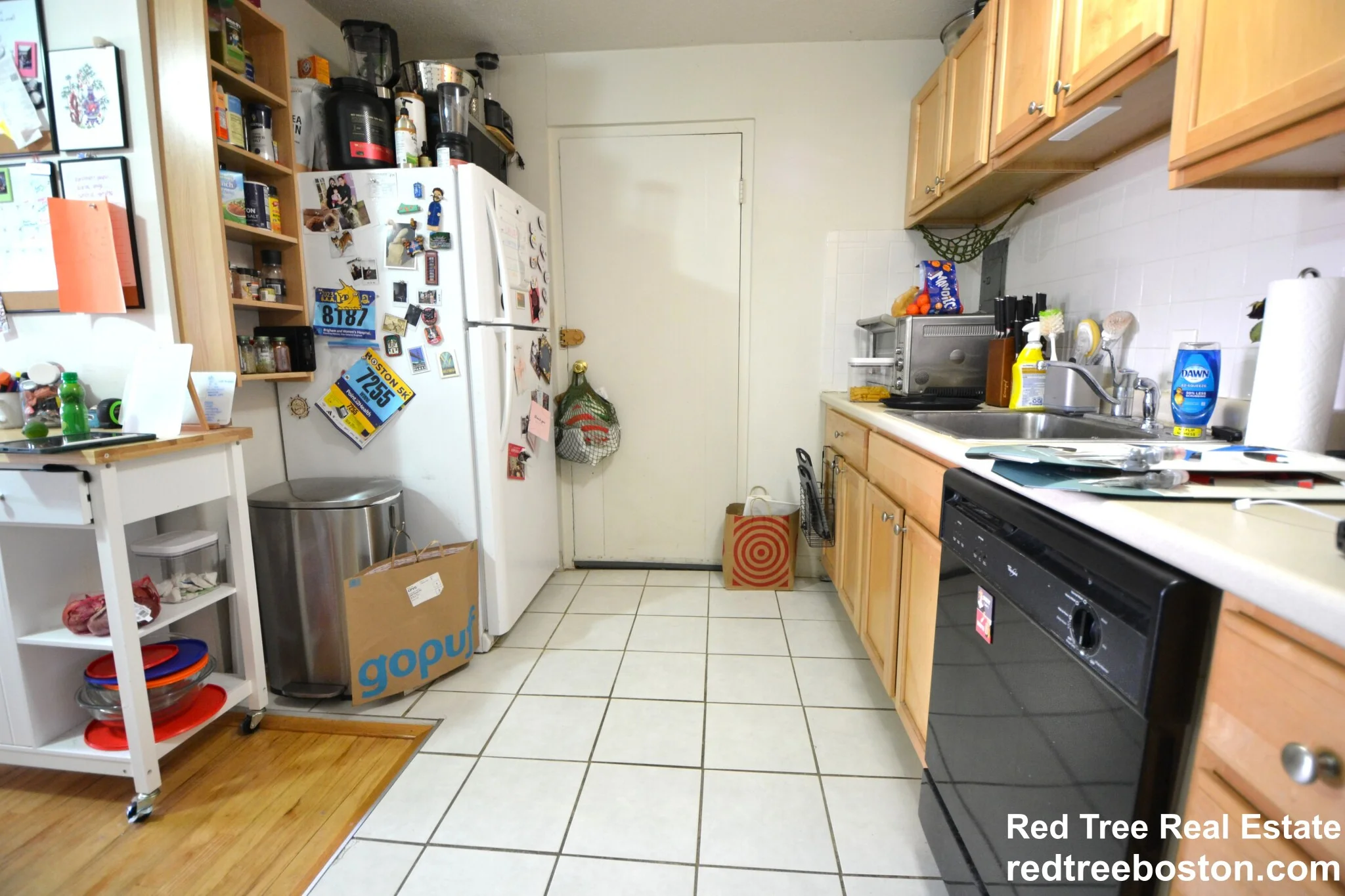 290 Corey Rd, Brighton