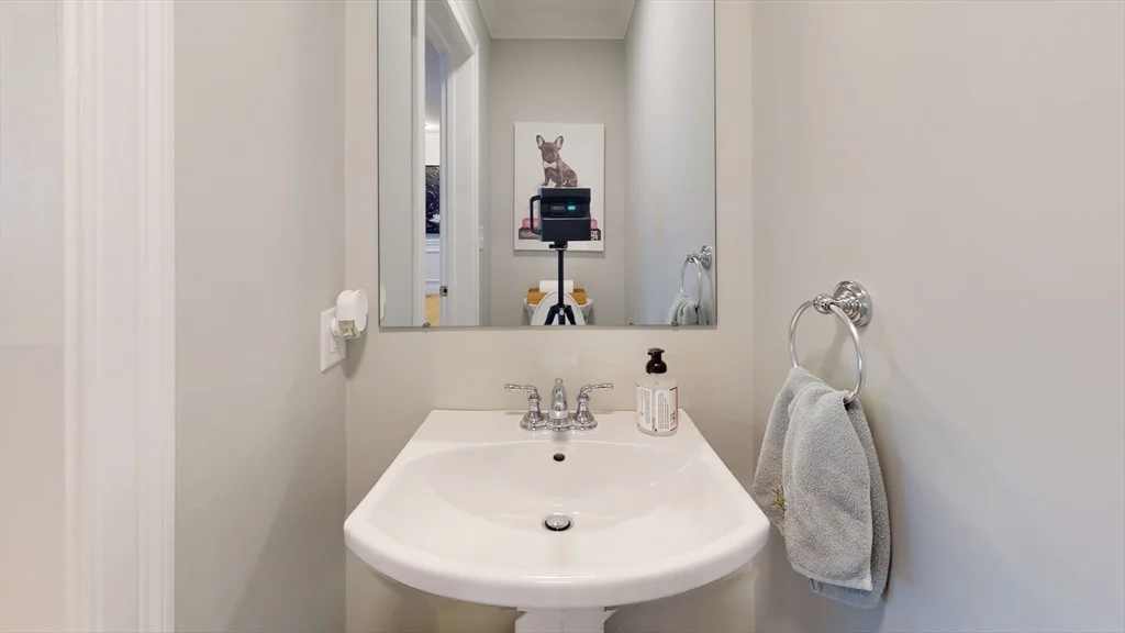 56 Albemarle Rd, Waltham