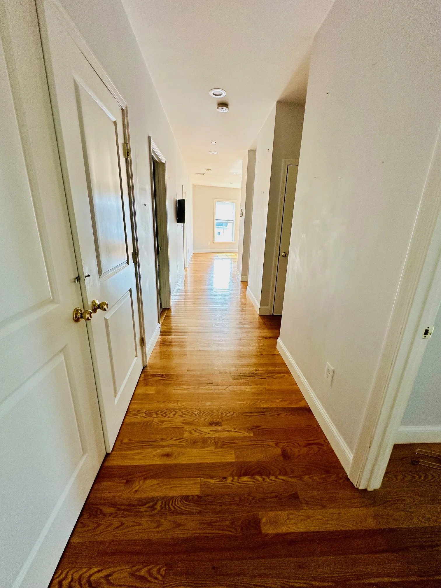 15 Dana Ave, Hyde Park