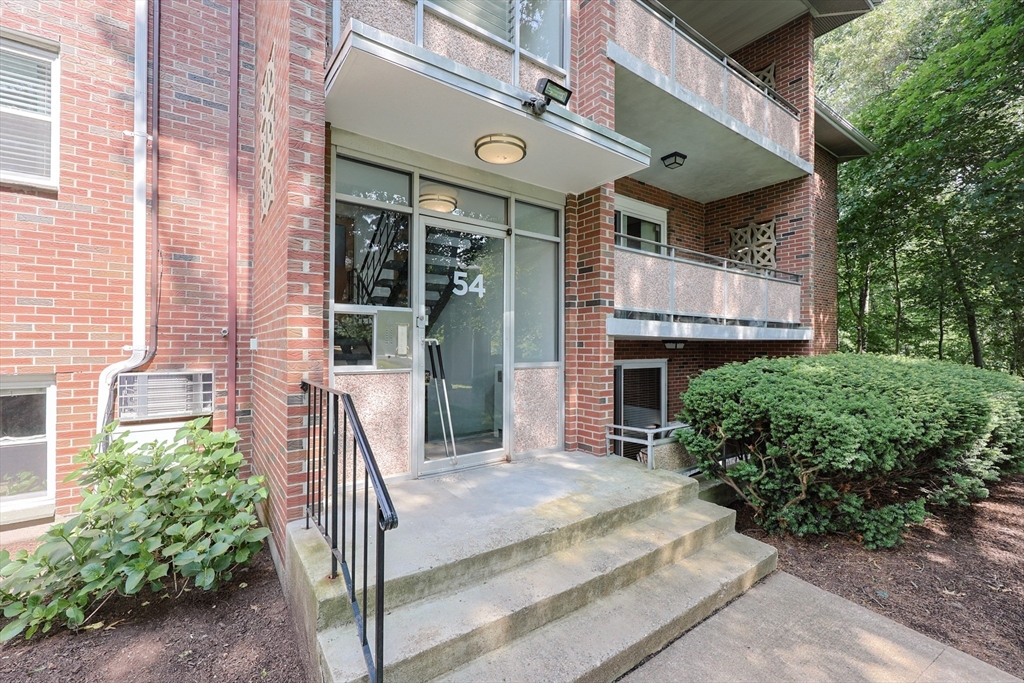 54 Jacqueline Rd, Waltham