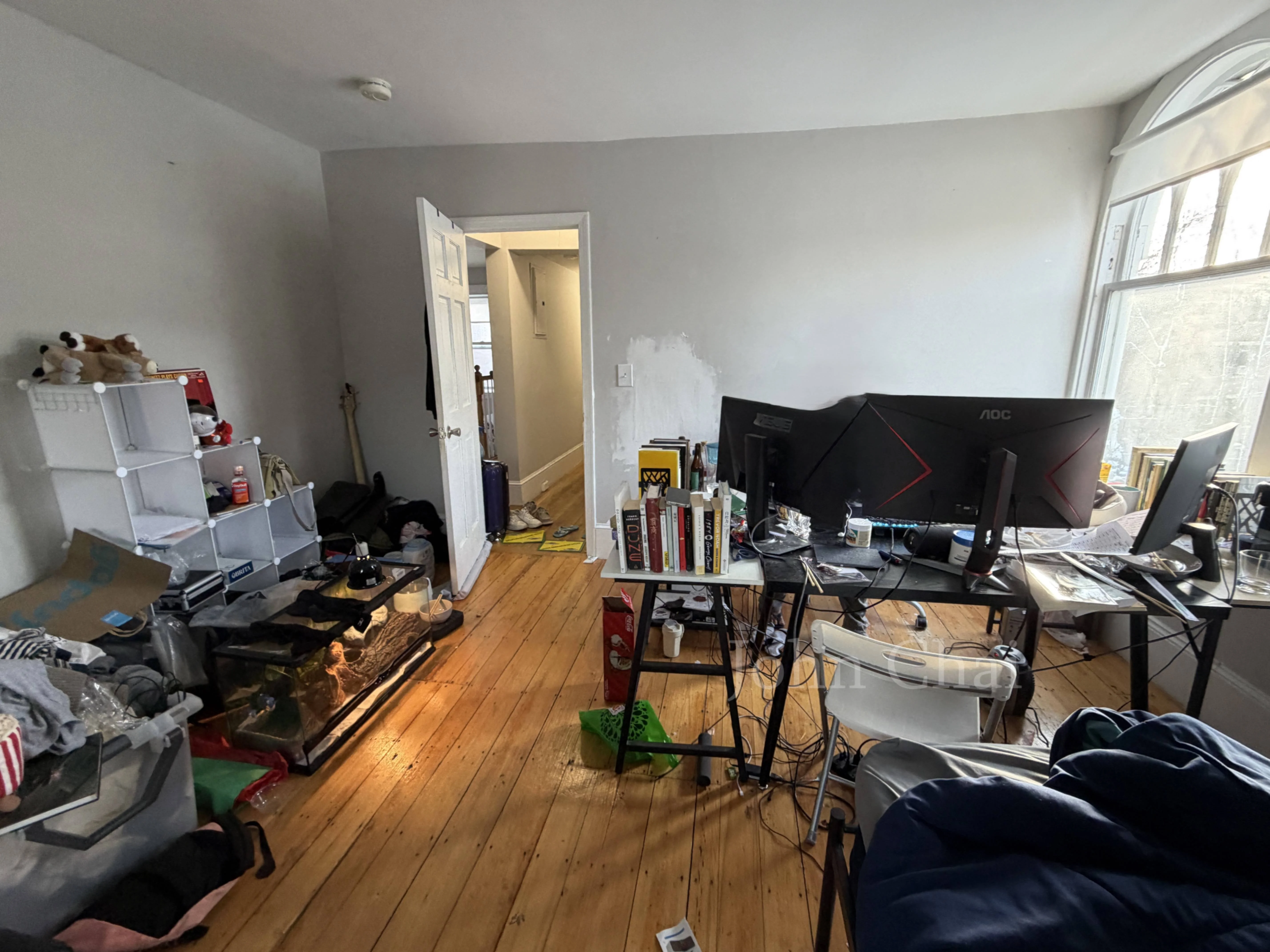 19 Braemore Rd, Brighton