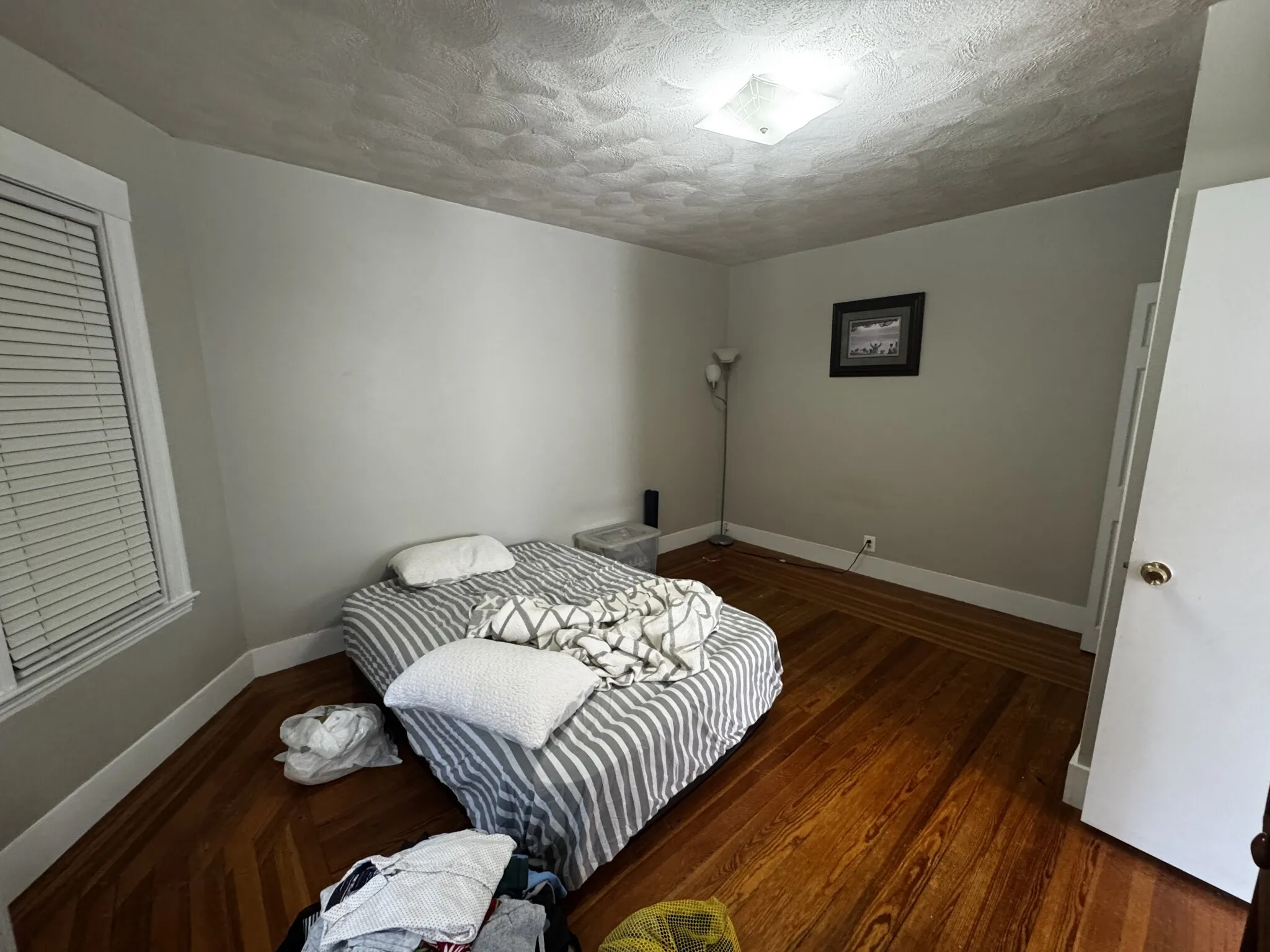 15 Princeton St, South Medford