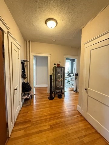 256 Corey Rd, Brighton