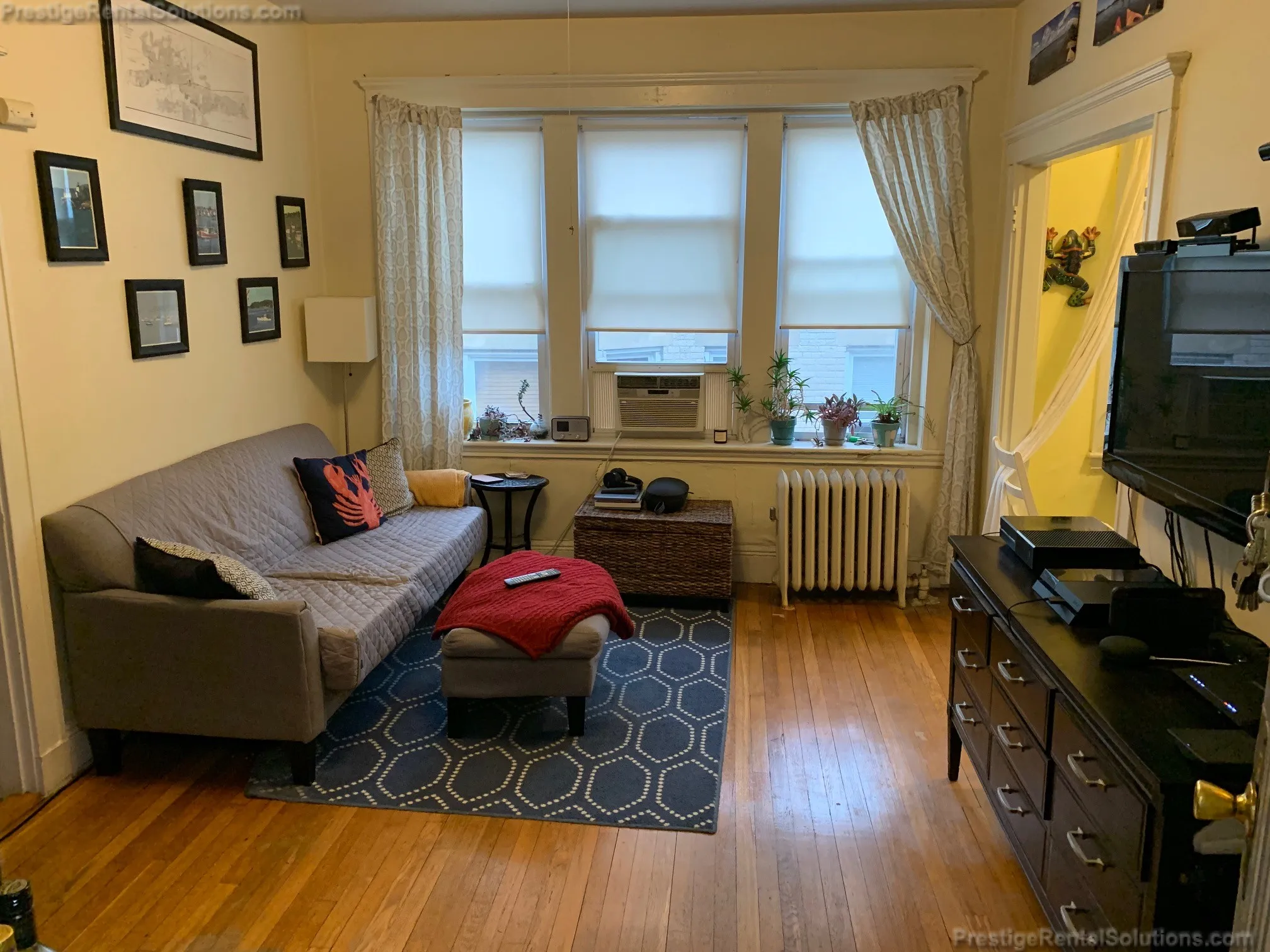 63 Woodstock Ave, Brighton