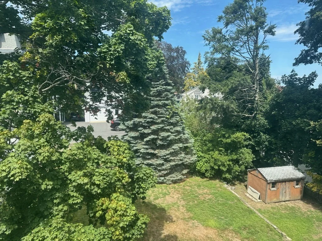 21 South Central, Wollaston