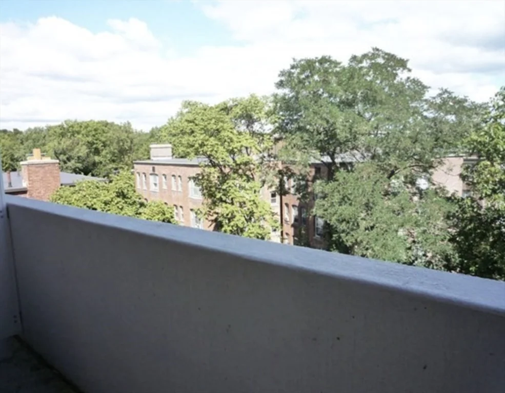 29 Concord Ave, Harvard Square