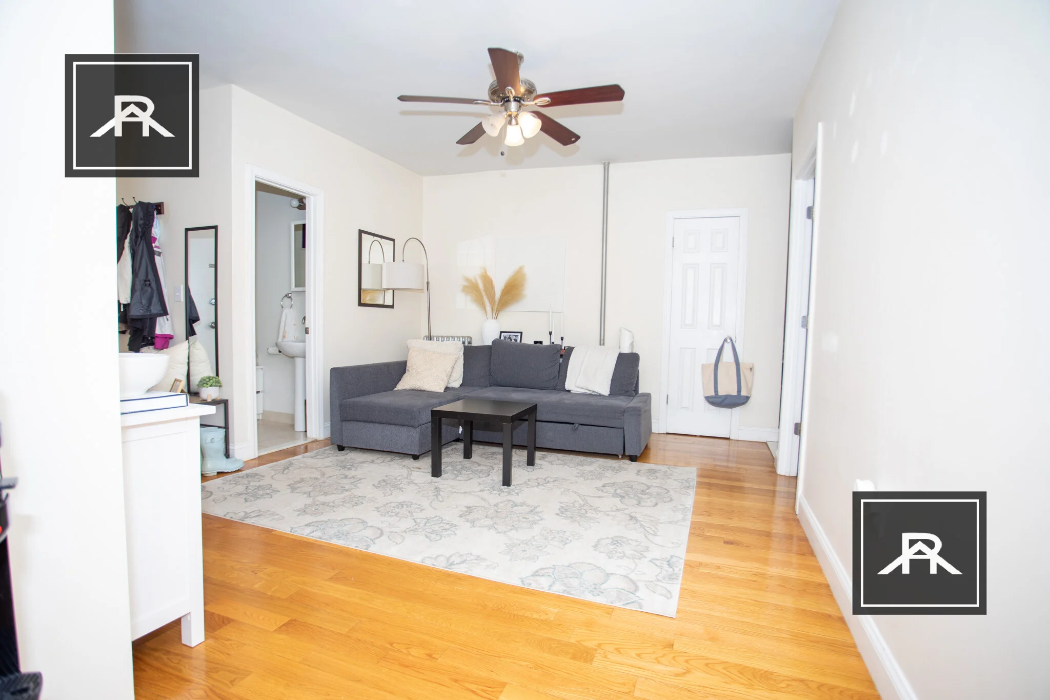 387 Harvard St, North Brookline