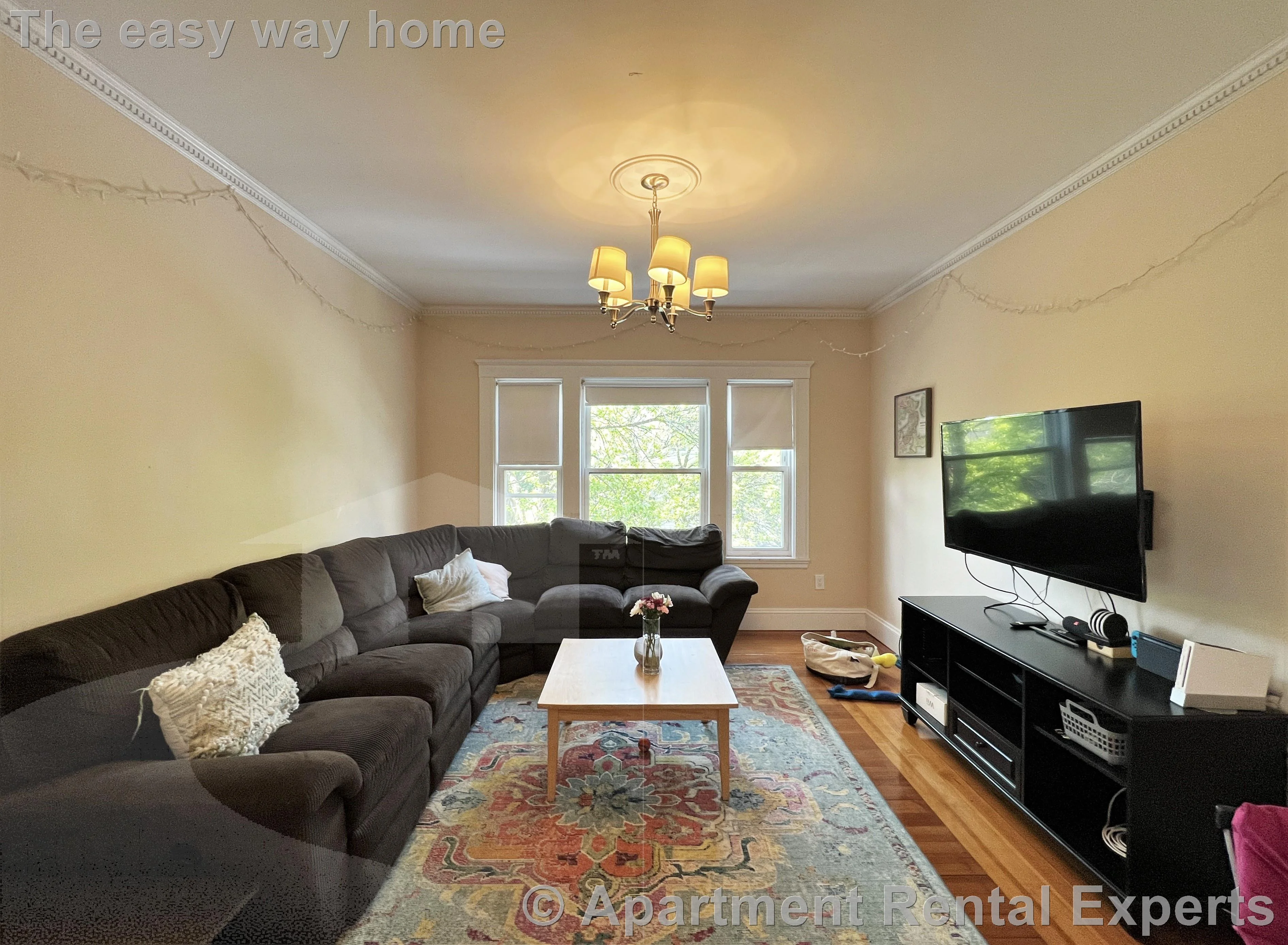 9 Whitfield Rd, Davis Square
