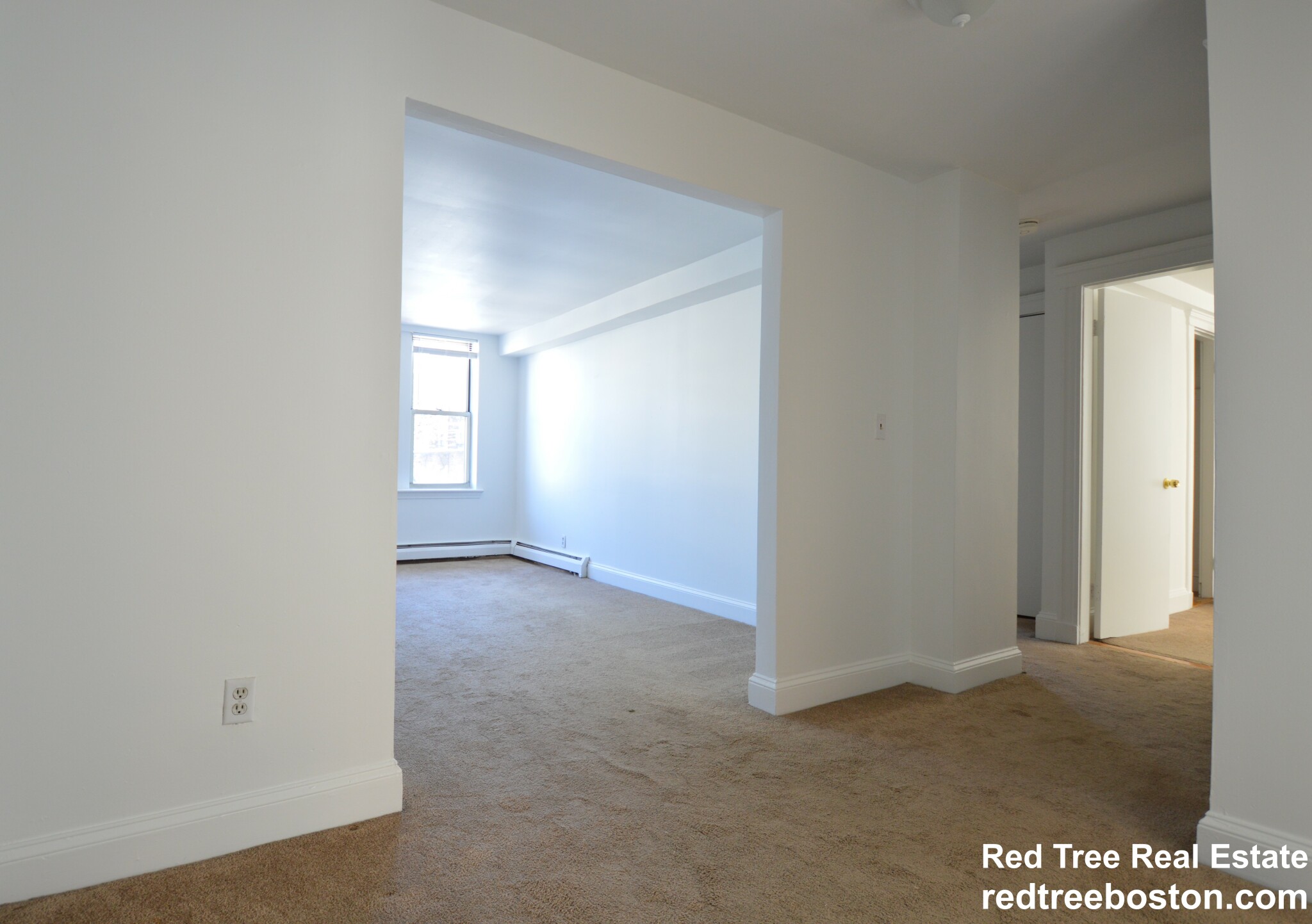 20 Colborne Rd, Brighton