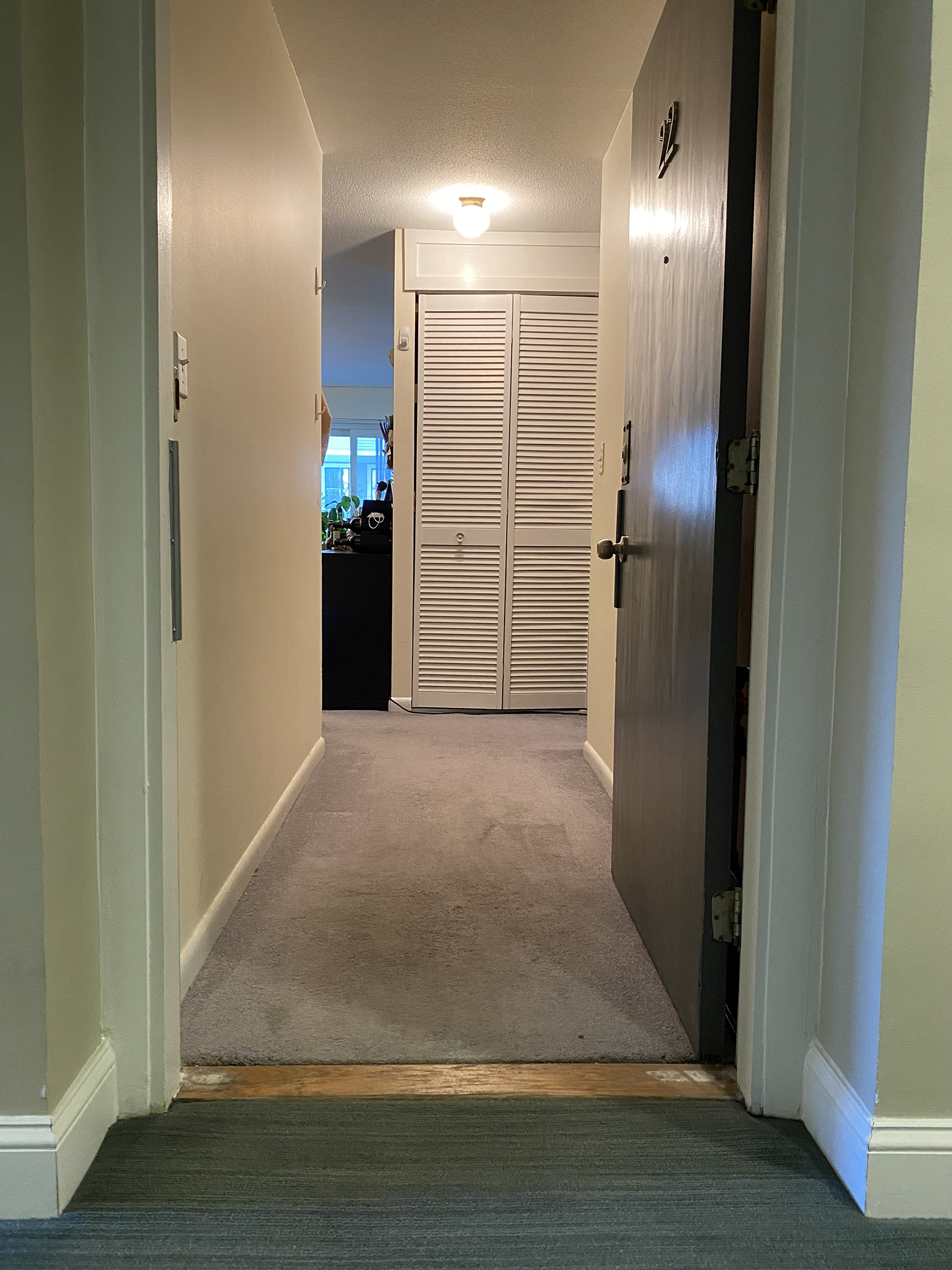 Studio bed, 1 bath apartment for rent at 15 Francis St Unit 22, Longwood — photo 7 of 11