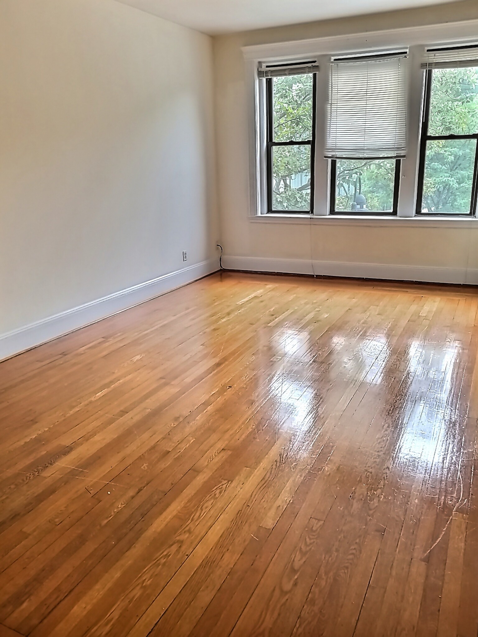 2 bed, 1 bath apartment for rent at 397 Harvard St Unit 3, Coolidge Corner — photo 6 of 8