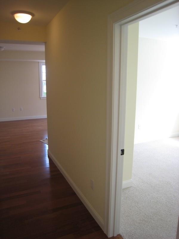 43 Pitman St, Spring Hill